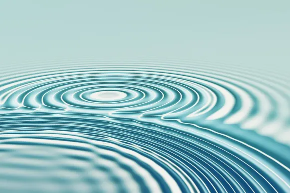 Gala Casino Stuðningur